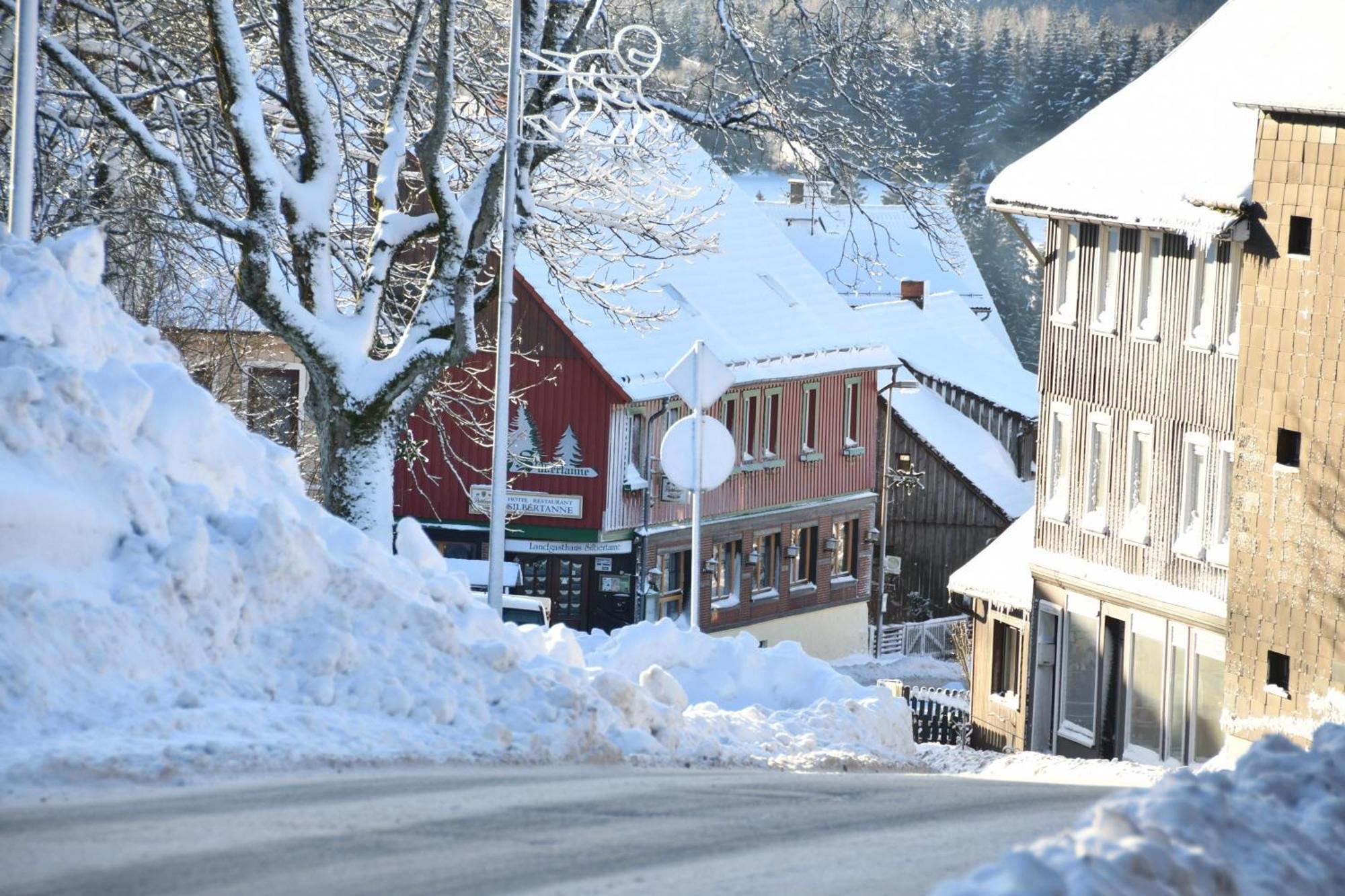 Wohnung In Hohegeiss Mit Grill Und Garten Braunlage Bagian luar foto